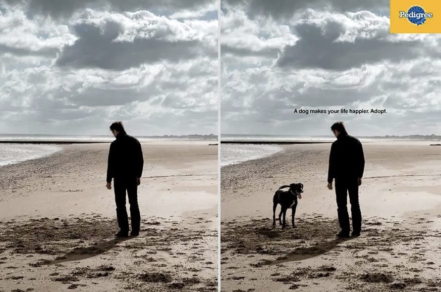 A man with dog on a beach
